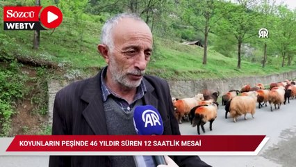 Koyunların peşinde 46 yıldır süren 12 saatlik mesai