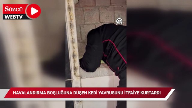 Havalandırma boşluğuna düşen kedi yavrusunu itfaiye kurtardı