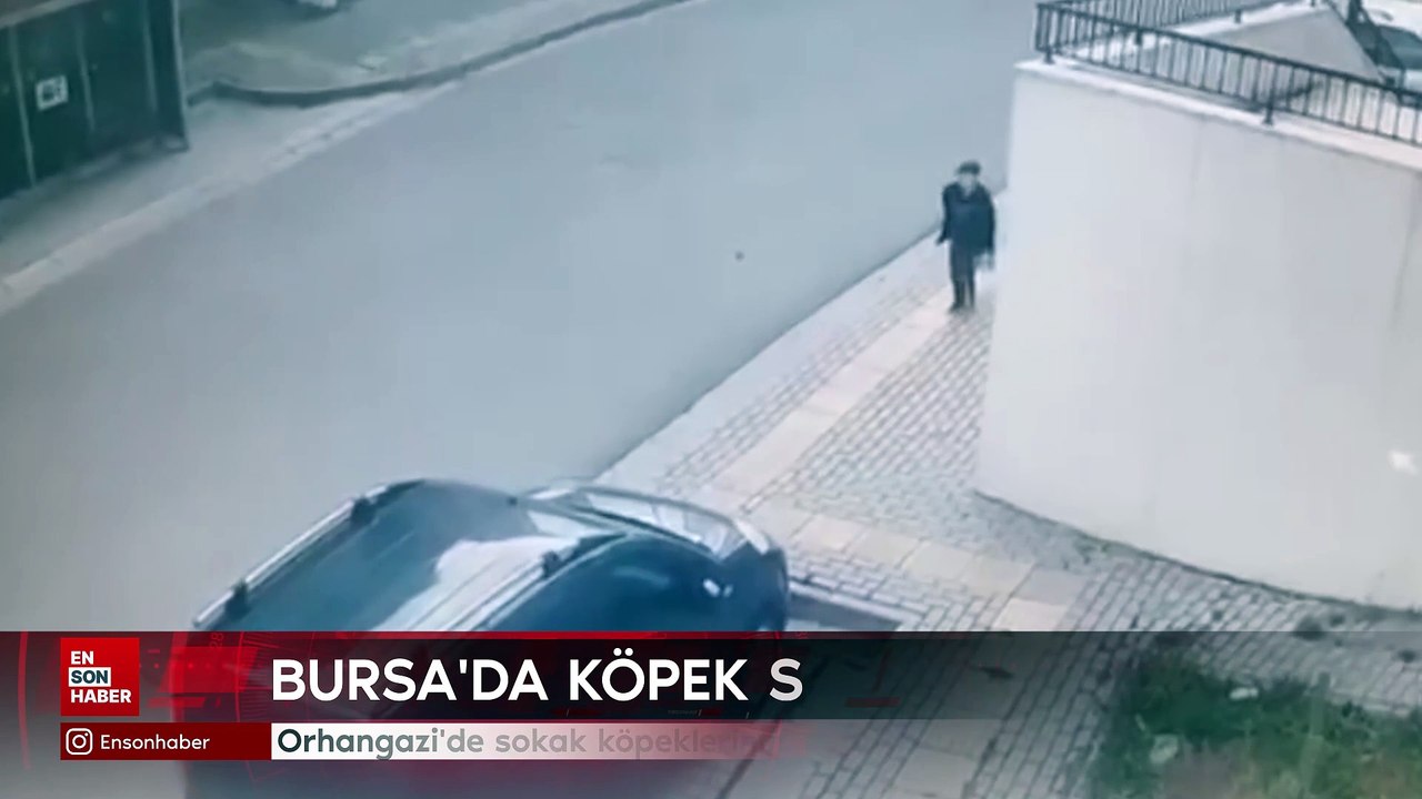 Bursa'da sokak köpeklerinin saldırdığı 9 yaşındaki çocuk