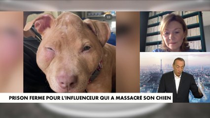 La Fondation Bardot réagit à la condamnation du couple d'influenceurs qui a massacré son chien
