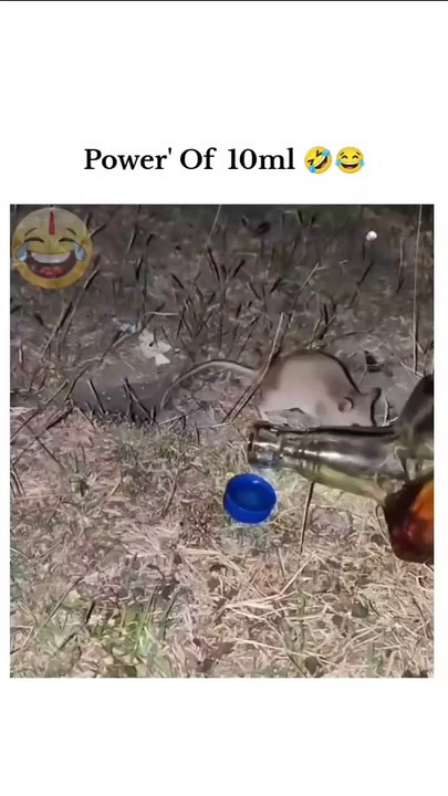 Very funny vedos 🤣🤣😂 wocth full