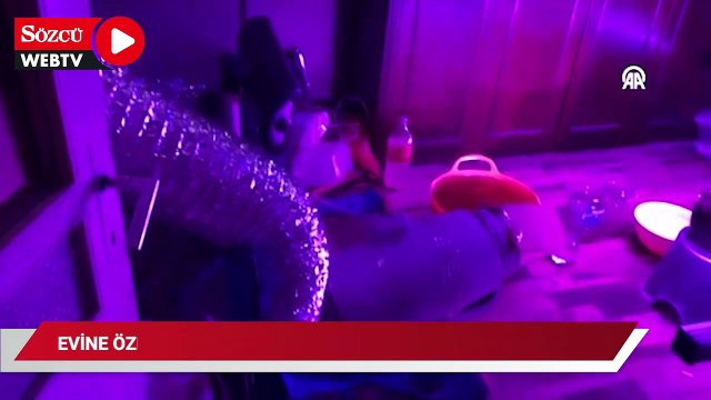 Samsun'da evinde iklimlendirme sistemiyle kenevir yetiştiren zanlı yakalandı