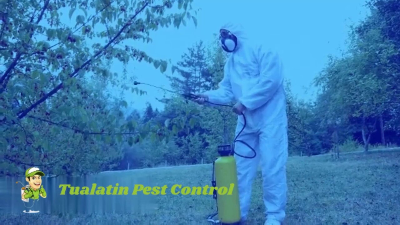 HOW LONG DOES PEST CONTROL LAST?