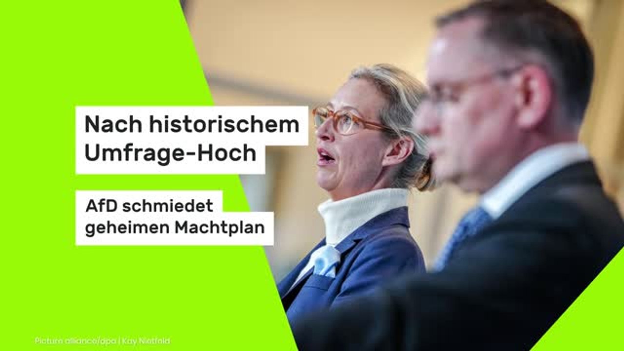 Nach historischem Umfrage-Hoch: AfD schmiedet geheimen Machtplan