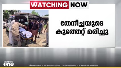 മാനന്തവാടിയിൽ തേനിച്ചയുടെ കുത്തേറ്റ് തൊഴിലാളി മരിച്ചു