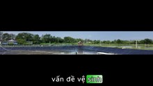 Hướng Dẫn Vệ Sinh Ao Nuôi Tôm Đúng Kỹ Thuật Trước Khi Thả Giống | Tôm Giống Green Farm