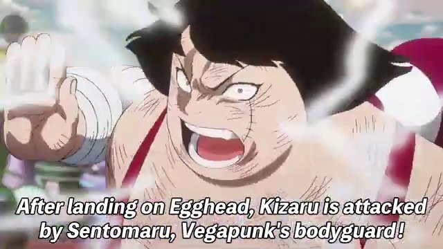 Trailer One Piece Ep 1125