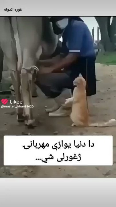 for the public