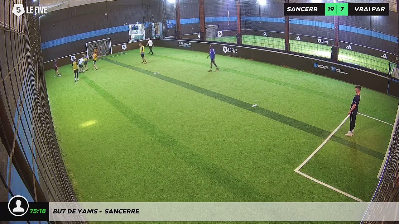 But de Yanis -  sancerre