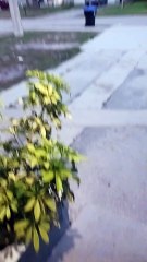 "Linger" ~ The Cranberries