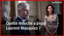 Quelle mouche a piqué Laurent Wauquiez ? 