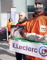 Des militants de l'association de défense des animaux L214 ont déposé des cadavres de porcelets devant un Leclerc parisien pour protester contre les conditions d'élevage dans des établissements fournissant le distributeur