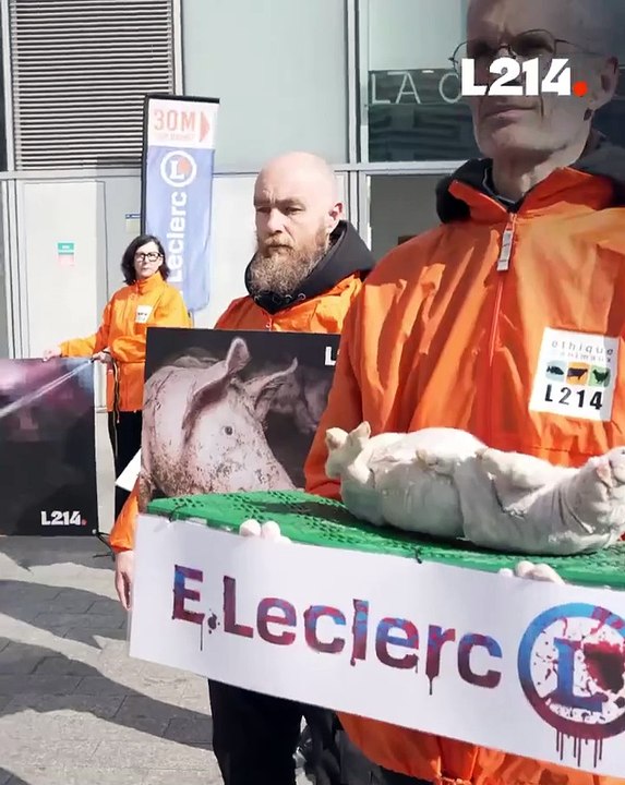 Des militants de l'association de défense des animaux L214 ont déposé des cadavres de porcelets devant un Leclerc parisien pour protester contre les conditions d'élevage dans des établissements fournissant le distributeur