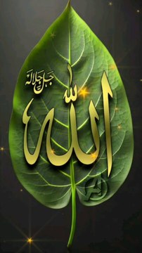 Respect Hijab || 🧕👌💯 #islamic #shorts #hijab #lovestatus #viral #naat #rehanksupport #youtubeshorts