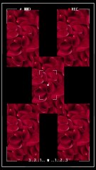 Respect Hijab || 🧕👌💯 #islamic #shorts #hijab #lovestatus #viral #naat #rehanksupport #youtubeshorts