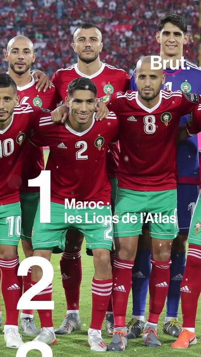 Pourquoi les équipes africaines ont pris des noms d'animaux ?