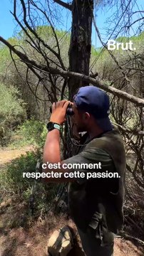 Hassen, passionné d'éperviers