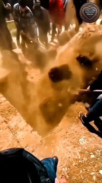 Saddest Reality is we think we have Time #islam #islamicshortvideo #foryou #trending