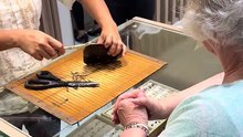 The process of opening pure sea pearls in a jewelry store