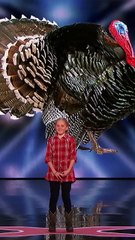 Number one great video short funny 🤣🤣🤣 please like) 536(short)👍👍👍