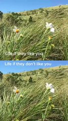 Mini Vlog - Life does not stop on anyone