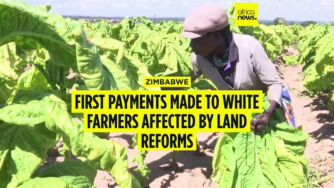 First payments made to white farmers affected by land reforms in Zimbabwe