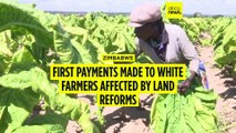 First payments made to white farmers affected by land reforms in Zimbabwe