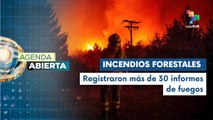 Gobierno ruso anuncia operación especial ante incendios