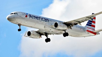 American Airlines Plane Turns Around After Passenger Reportedly Throws Fit Over Meal