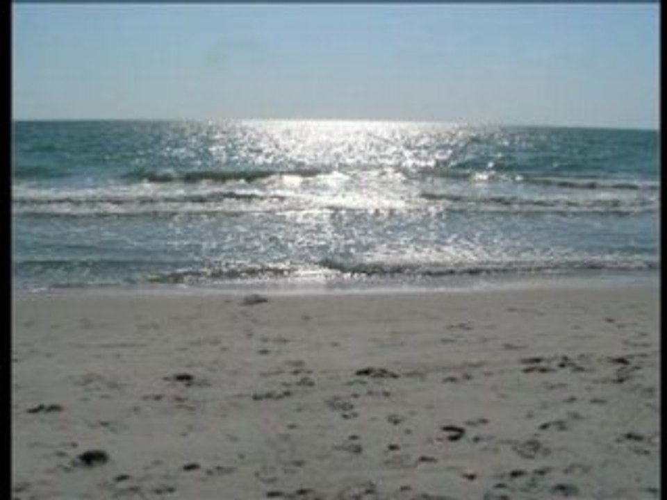 Everglades city Naples