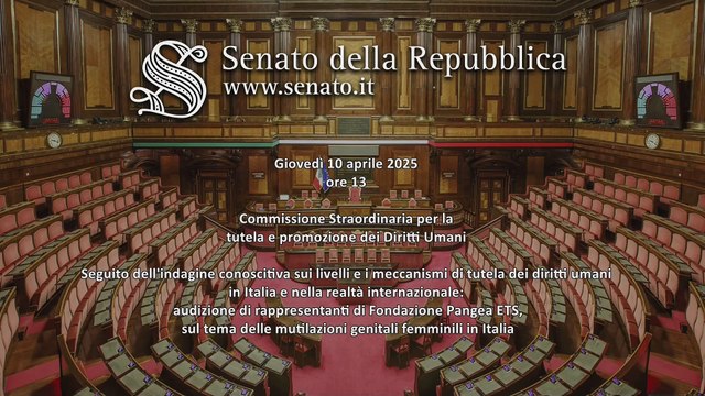 Roma - Seguito dell'indagine conoscitiva sui livelli e i meccanismi di tutela dei diritti umani (10.04.25)