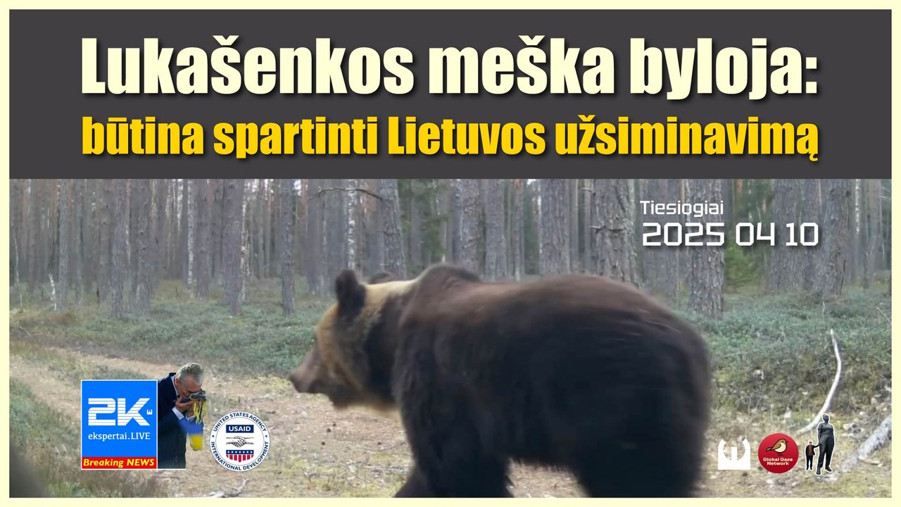 2K+ 2025 04 10