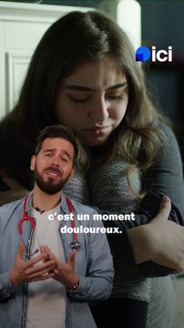 Pompes funèbres : enterrer ou incinérer son animal ?