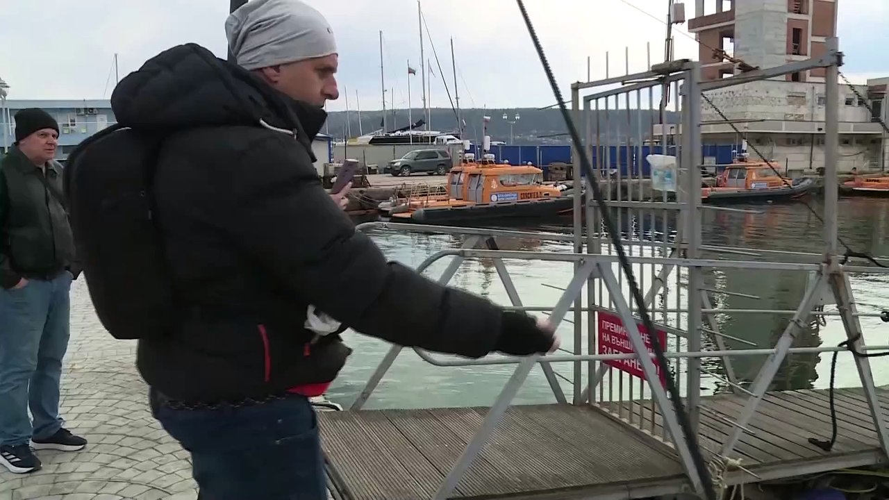 Bulgarien: Stoycho, der rosa Pelikan, hat viele Fans