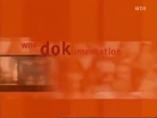 Aktenzeichen 11.9. ungelöst - Lügen und Wahrheiten zum 11. September 2001 (Backup)