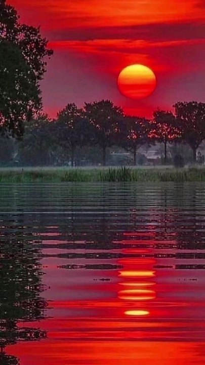 No hay quien como tu