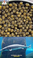 Kaviar Emas Paling Mewah di Dunia, Pernah Dengar Almas Caviar?