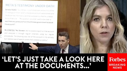 'It's In Fact An Outright Lie, Is It Not?': Josh Hawley Questions Facebook Whistleblower