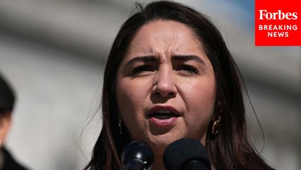 Delia Ramirez Compares The SAVE Act To Past Voter Suppression Efforts: ‘Same Trash Just A Different Day’