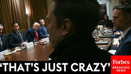 'People Getting Unemployment Insurance Who Haven't Been Born': Musk's DOGE Claims Make Cabinet Laugh