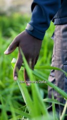 Amos Ikere Dubai Safari Park