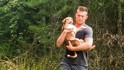 Abandoned Puppy Jumps Into Rescuers Arms