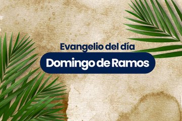 Evangelio 13 abril - domingo de ramos