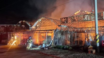 경기 광명에서 화훼 비닐하우스 화재...4개 동 전소 / YTN