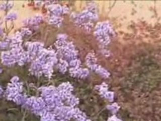 Atelier raid et sortie V2-Web