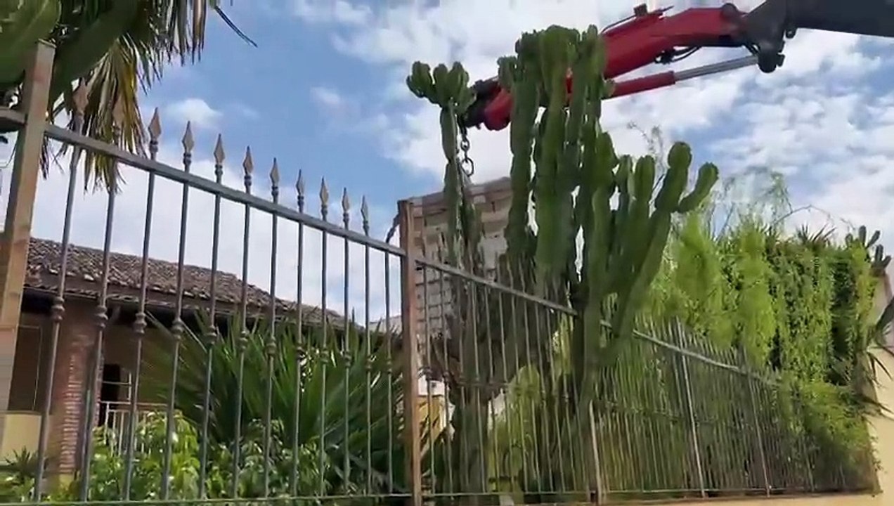 Macerata Campania (CE) - Operazione Caritas parrocchia Macerata Campania (10.04.25)