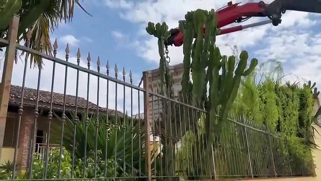 Macerata Campania (CE) - Operazione Caritas parrocchia Macerata Campania (10.04.25)