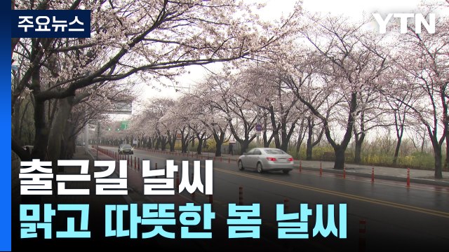 [날씨] 봄기운 절정, 서울 낮 23℃...주말 비바람에 '벚꽃 엔딩' / YTN