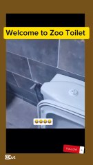 Never use zoo toilet 🚻