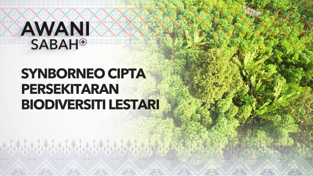 AWANI Sabah+ SynBorneo cipta persekitaran biodiversiti lestari
